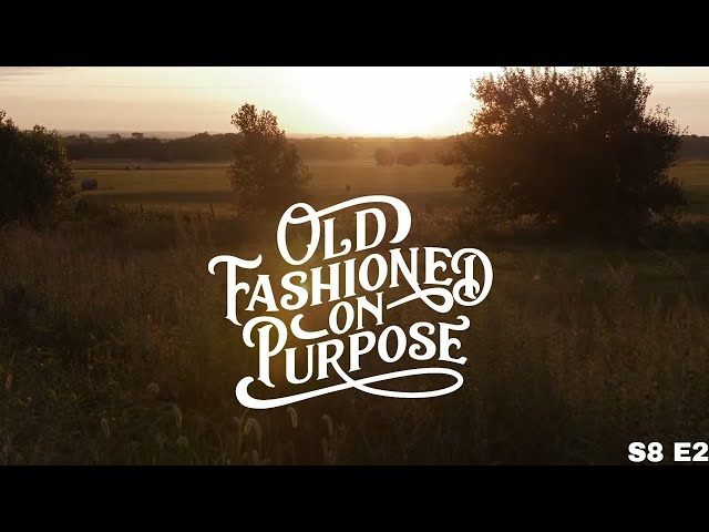 S8 E2: What Stage of Homesteading are You In?