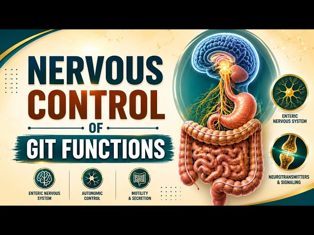 Lecture 1 Physiology Part 1 (Neurohormonal Control of GIT Functions) GIT