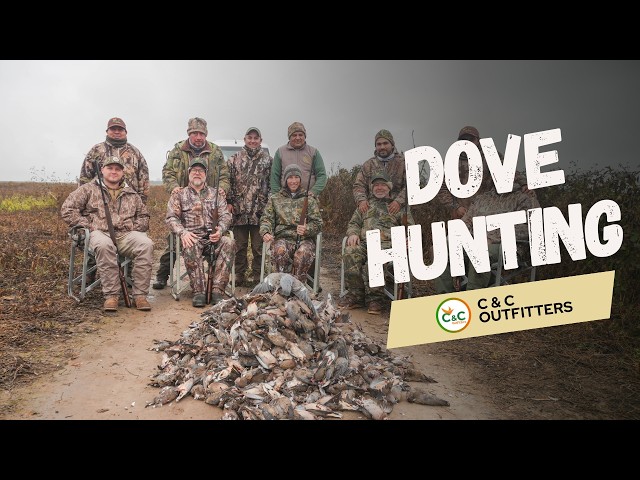 UNMATCHED DOVE HUNTING - RECORD-BREAKING DAYS in ARGENTINA!