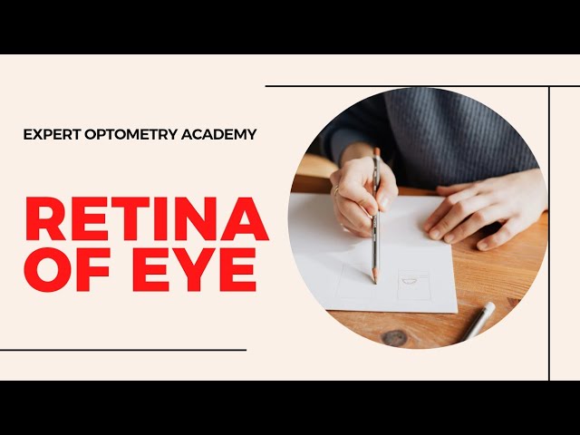 MCQ's on Retina of Eye || MCQ's for Optometrist Ophthalmic technician Ophthalmologist Exam
