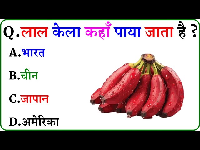 GK Question || GK In Hindi || GK Question and Answer || GK Quiz ||