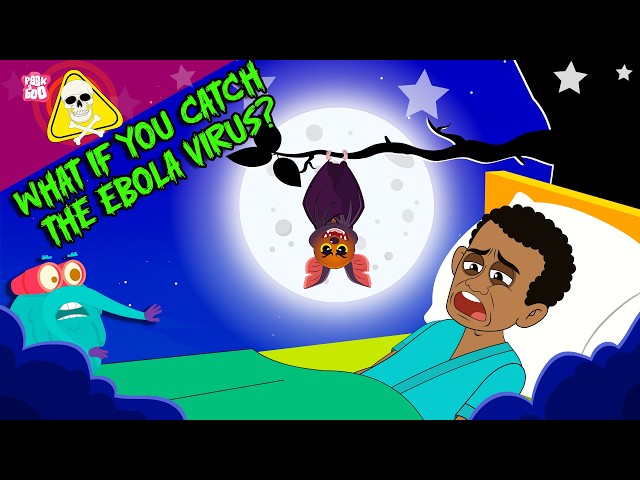 The Ebola Virus Explained | What Happens if You Get Ebola? | Symptoms, Spread And Risks | Dr. Binocs