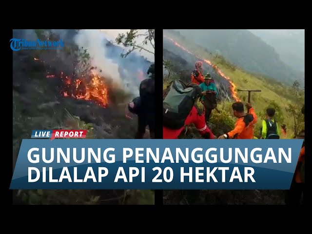 SUSPECTED CAMPFIRE LEFT UNATTENDED, 20 Hectares of Mount Penanggungan Burned