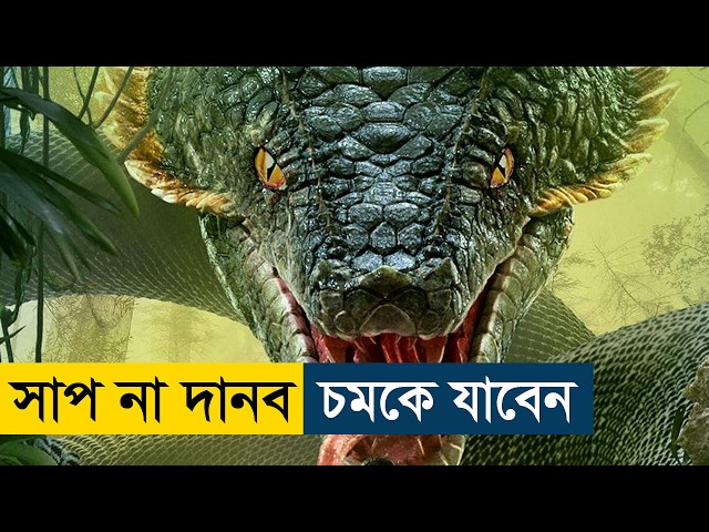 Island Python (2025) Movie Explained in Bangla | Story Summarized Bangla