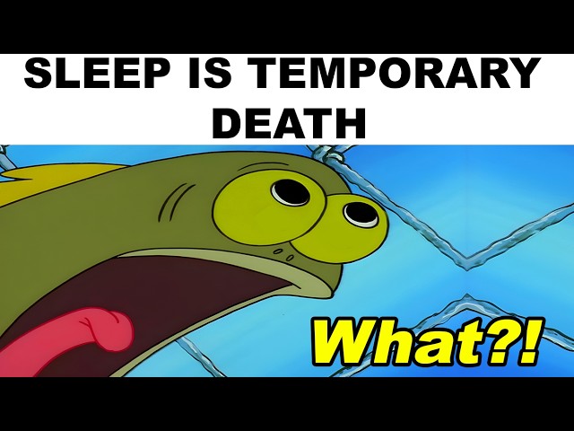 memes que te derriten el cerebro