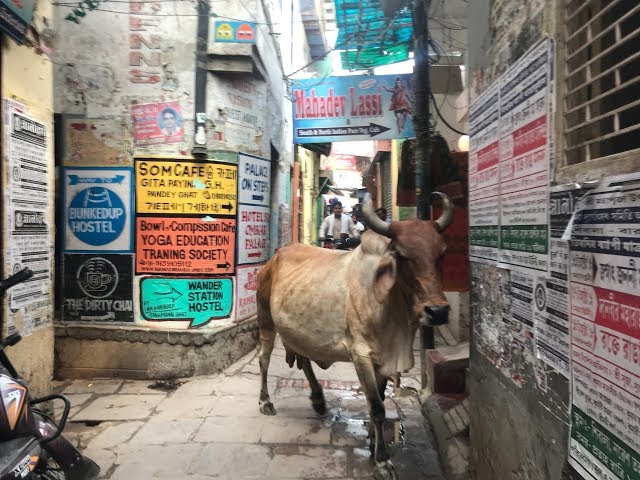 Near Pandey Ghat, Varanasi, India - Oct 18 (360 Video)