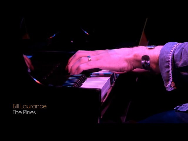 Bill Laurance - 'The Pines' (360 VR Edit)