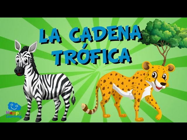 La Cadena Trófica | Videos Educativos para Niños