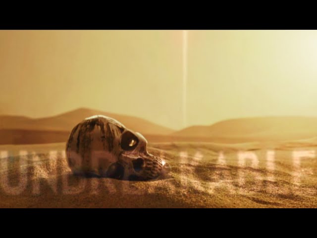 Ronnie Radke/Falling In Reverse Video edit 