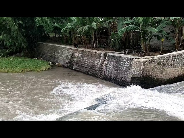 Java Island's Plonto River looks beautiful | No Copyright