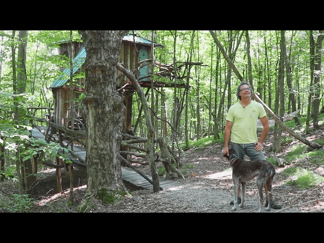 Mountain Man Builds Free House from Twigs and Branches