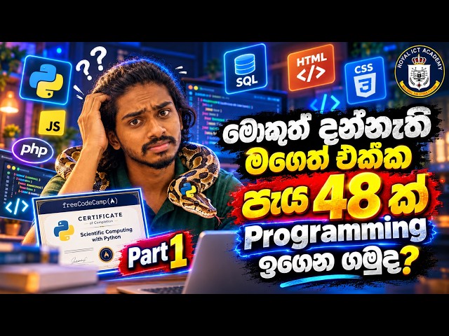 How to Self-Study Programming from ZERO? 🔥 | Part 1 - Python | Sinhala LIVE | FREE Coding Course