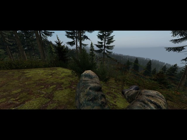 DayZ Ambient - Distant heavy firefight while chillin' in the woods