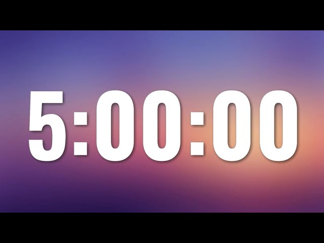 5 Hour Timer - No Sounds, No Ads, No Music