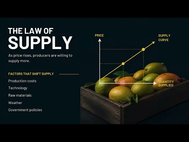 The Price Puzzle: Everything You Need to Know | Class 9 Social Science