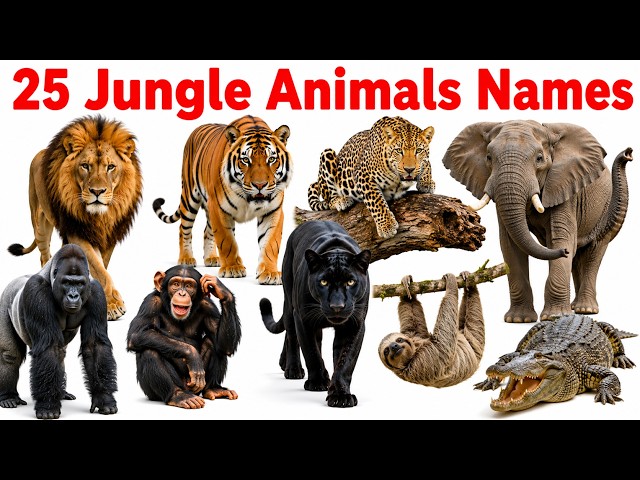 25 Jungle Animals Names in English & Hindi | Jungle Animals for Kids | बच्चों के जंगली जानवर