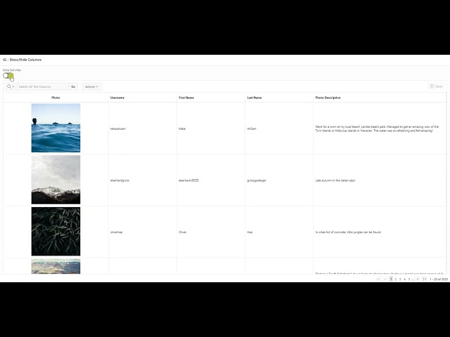 Oracle APEX - Interactive Grid Hide/Show columns