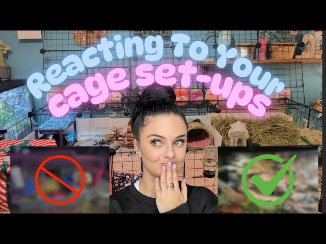 Reacting To My Subscribers Pet Enclosures! (Some are awful)