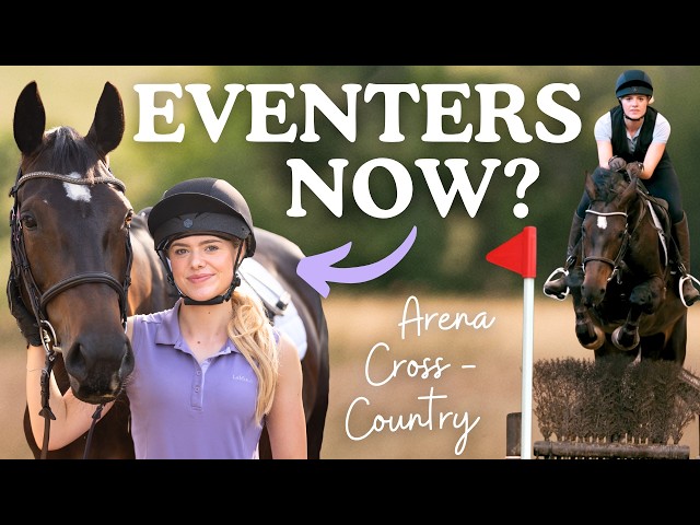 Riding Routine for Jumping with my New Horse