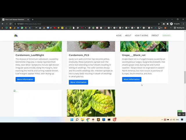 Plant Leaf Detection using CNN Flask App in Python Projects