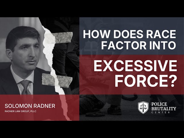 How does race factor into cases of excessive force?