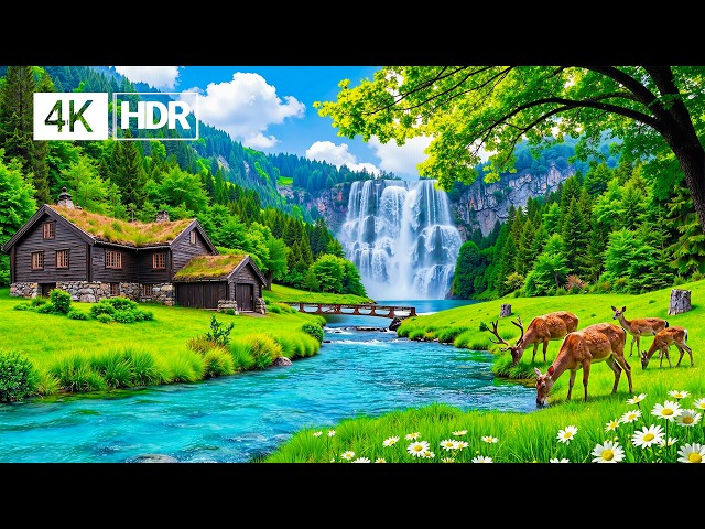 Healing Music Calms Your Mind 🌿 Stop Overthinking, Restore Emotional Balance & Deep Sleep