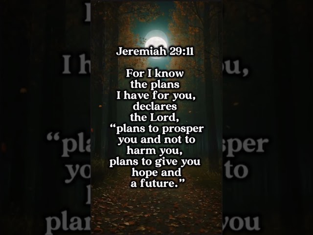 Jeremiah 29:11 – God’s Plan for  Your Life | Daily Bible Verse #shorts