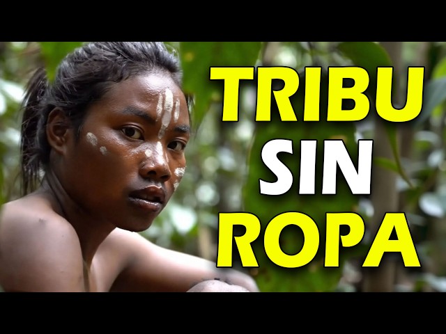 🌿 The wildest tribe in the world — Asmat: this is real life without civilization