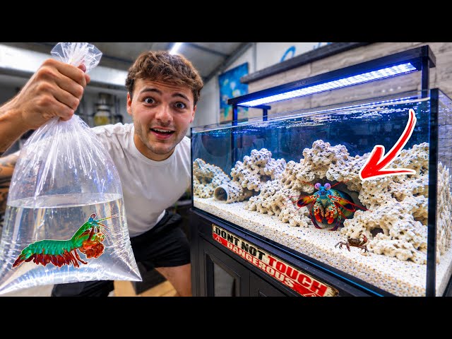 Buying MOST DANGEROUS CREATURE for My NEW TANK!!