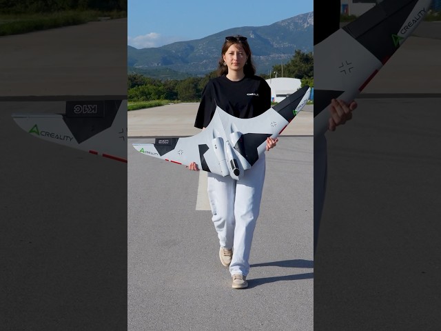 3D Printed Horten Ho 229 Rc Airplane - 3D Printing Timelapse