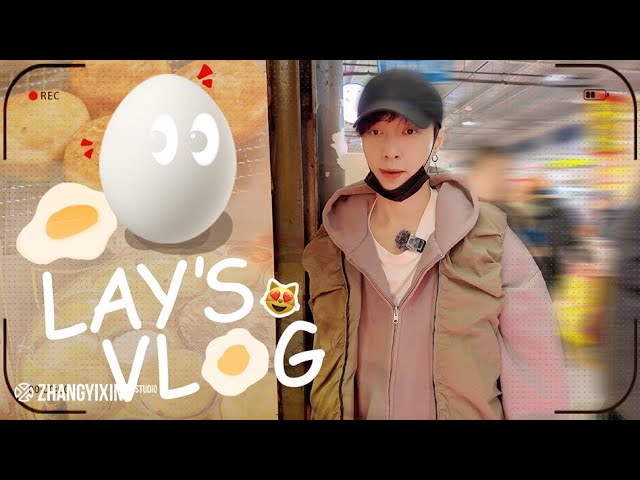 LAY'S VLOG | Grocery Shopping