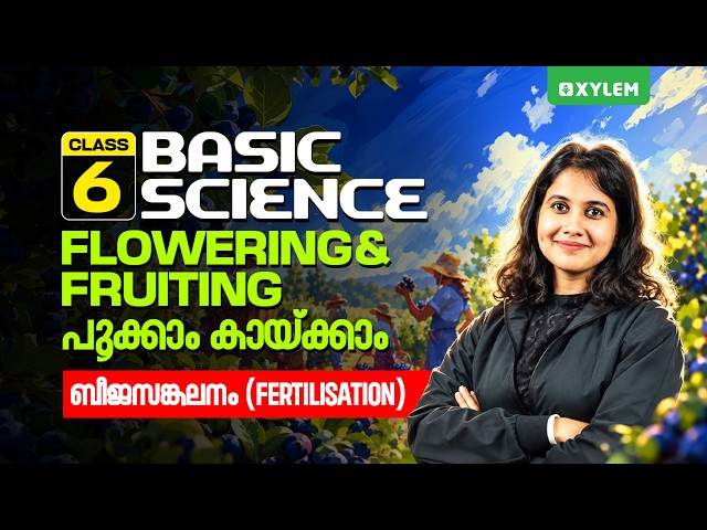 Class 6 Basic Science | Flowering and Fruiting – Fertilisation | Xylem Class 6