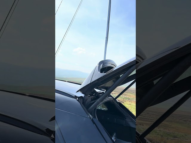 145 Alive - Raring to go