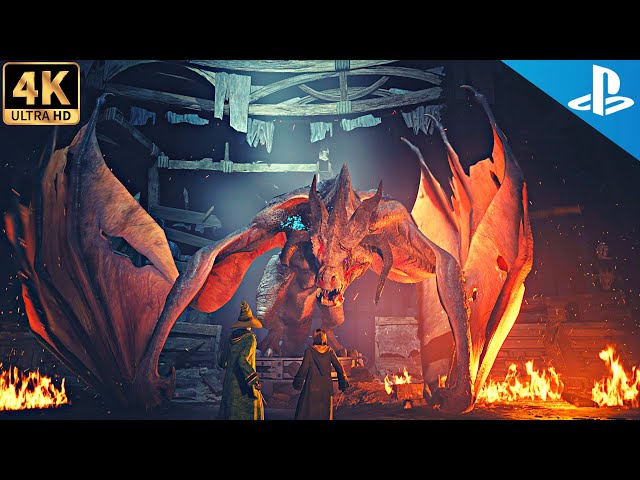 Fire and Vice Mission Guide | 𝐇𝐨𝐠𝐰𝐚𝐫𝐭𝐬 𝐋𝐞𝐠𝐚𝐜𝐲 PS5 4K gameplay (Harry Potter game 2023)