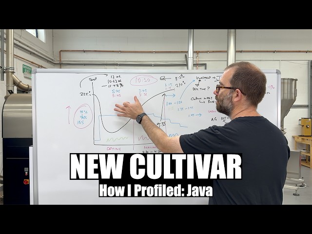 How I build a Roast Profile for a New Coffee Cultivar (Java)
