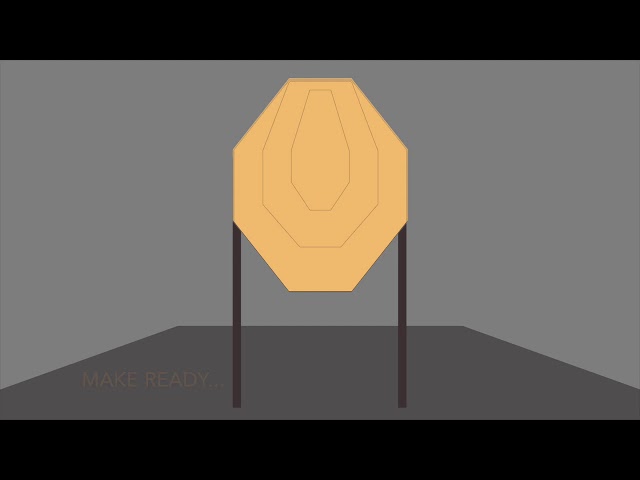 IPSC DryFire Winter 2021