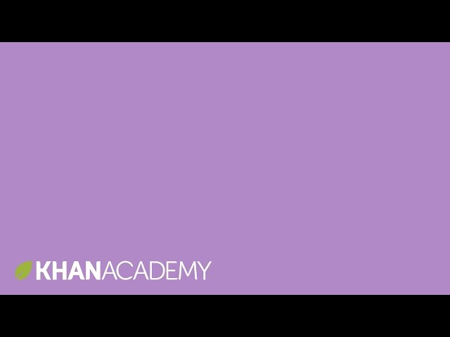 Diagnosing autism spectrum disorder | Mental health | NCLEX-RN | Khan Academy