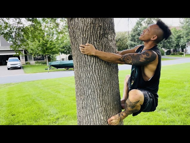To Climb a Tree(S)