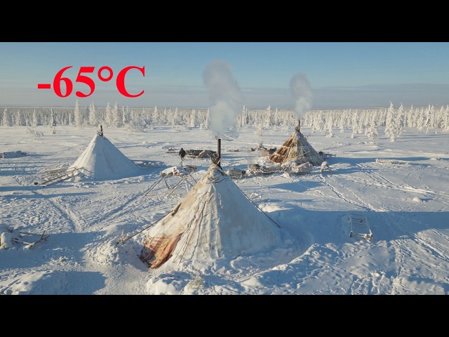 The homes of nomads in Russia's Arctic tundra can withstand the HARSHEST frosts in the WORLD.