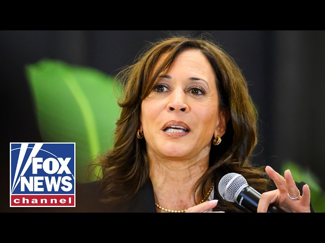 Democrats are playing PARTY POLITICS: Podcast host