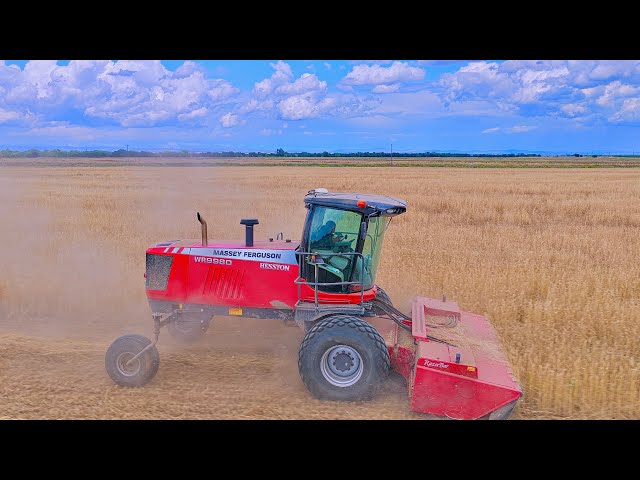 🕵🏻‍♂️🔬THE END OF MAY IN 2026 YEAR, A NATURE FROM ABOVE  A VIEW VIA DJI, 4K 60 FPS PART - 16 ENJOY🕊️🤗