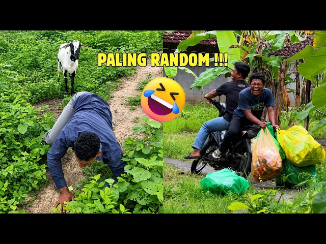 Video Random Warga Plus 62 Paling Ngakak 😭 Part 39