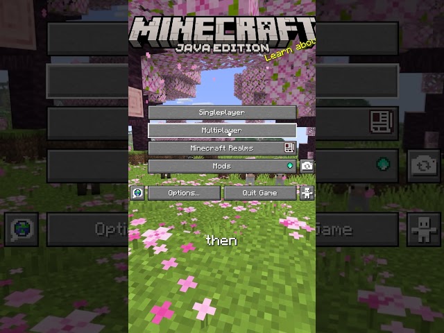 Can’t Join Servers on Minecraft Java Fix