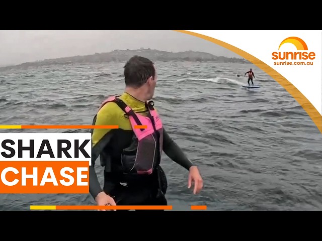 Foil surfer chased by four-metre shark | Sunrise