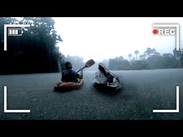 Kayaker's Final Moments When Crocodile Attacks Him Caught on Camera