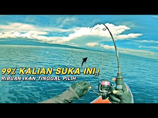 Thousands of fish gather here‼️a rare moment when fishing at sea