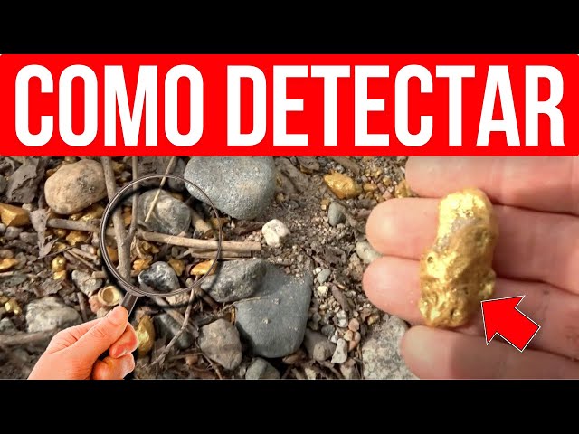 Como DETECTAR si HAY ORO en un TERRENO (8 Señales Fuertes!)