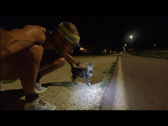 20K TARGET PACING "STANDARD": VALENCIA MARATHON 2026 SPECIFIC TRAINING