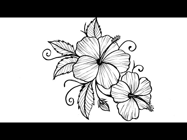 How to Draw a Hibiscus Flower Step by Step | Easy Flower Drawing Tutorial