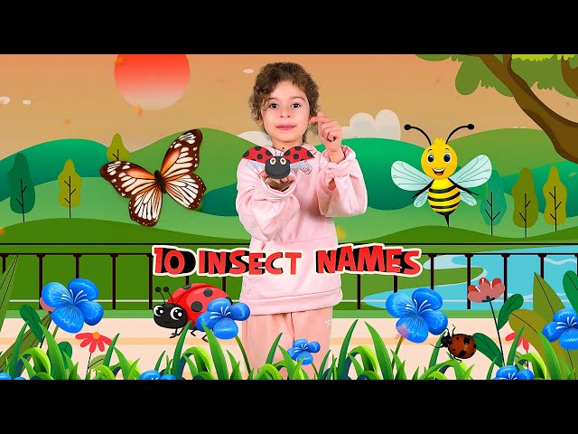 Neva's FUN Guide to Learning Insect Names FAST!